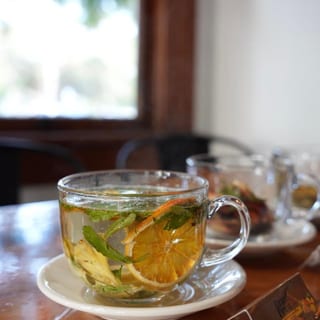 Support Immune System Tea 16oz